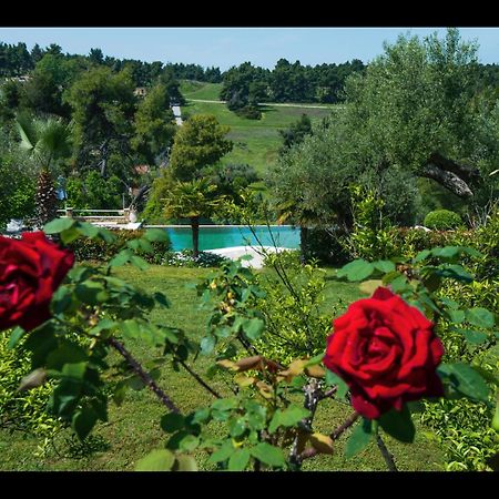 Aparthotel Sanidiamonds Sani  Exteriér fotografie