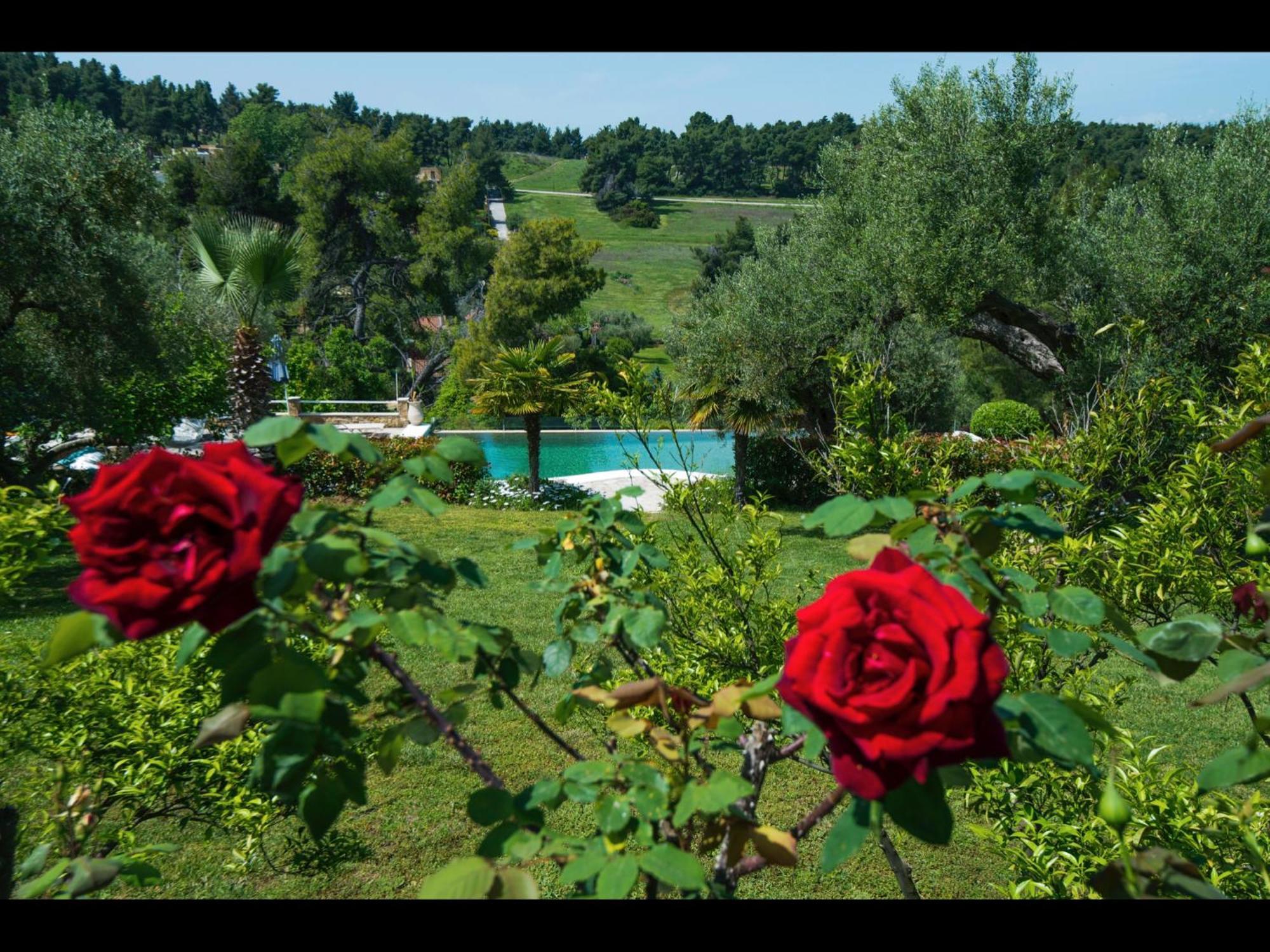 Aparthotel Sanidiamonds Sani  Exteriér fotografie
